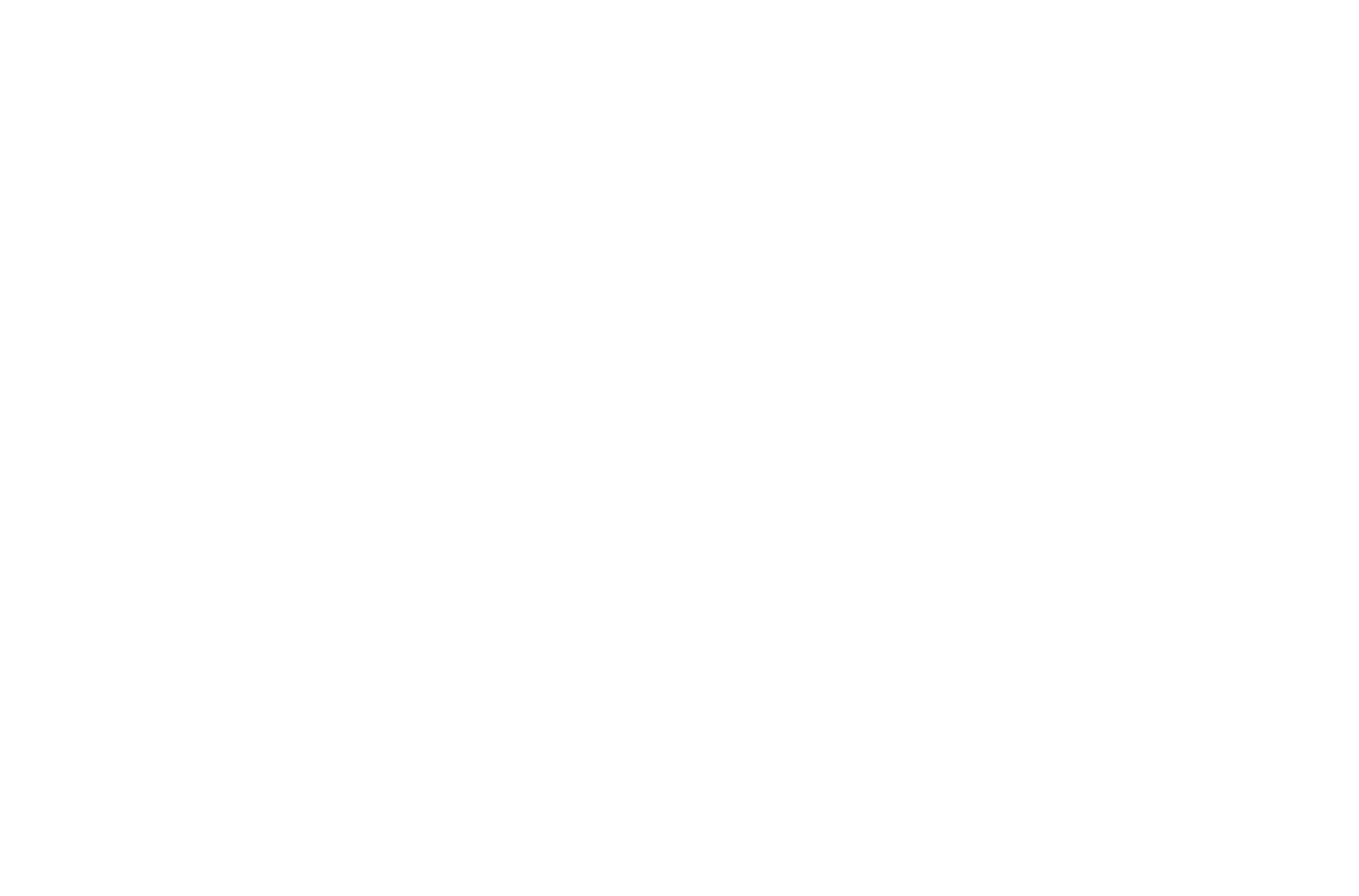 Sanur White Logo
